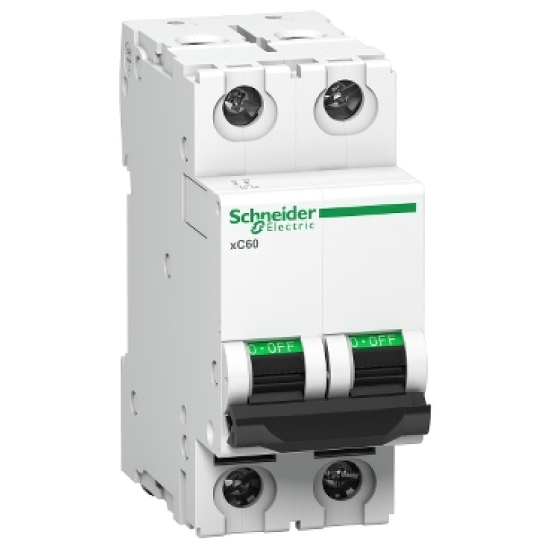 Schneider B Curve MCBs - xC60 - 2 Pole - 6A (A9N2P06B)